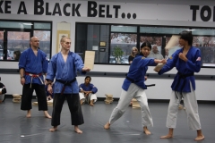 black-belt-board-breaking-6-scaled