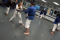 black belts sparring 
