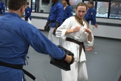 black-belt-4-1-scaled