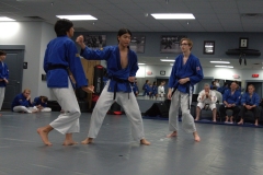 black-belt-testing-1-scaled
