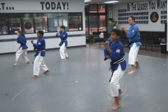 black belt testing kata 2