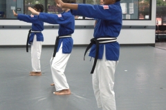 black belt testing kata