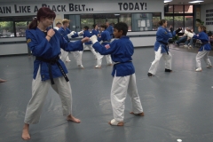 black belt testing sparring 2