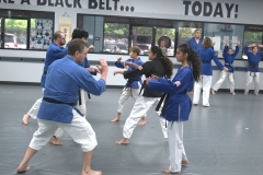 DSC_0117.jpg-nggid03292-ngg0dyn-480x320x100-00f0w010c011r110f110r010t010