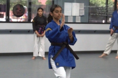 DSC_0390.jpg-nggid03304-ngg0dyn-3063x4093x100-00f0w010c011r110f110r010t010