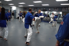 DSC_0717.jpg-nggid03310-ngg0dyn-1920x1280x100-00f0w010c011r110f110r010t010