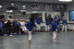 Black belt testing kicks