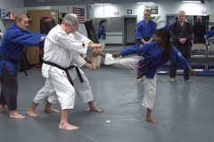 black belt testing power break 4 