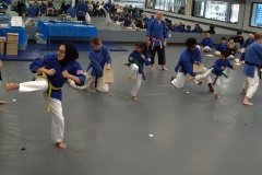 2024-03-23-11.13.46-1