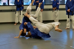 crabapple-ma-throw-1