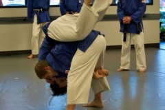 crabapple-ma-throw-3