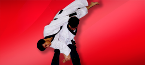 hapkido flip demonstrated