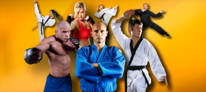 collection of martial artist