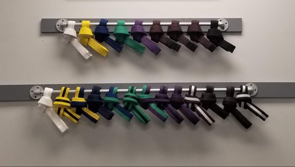 two rows of martial arts belts displayed 