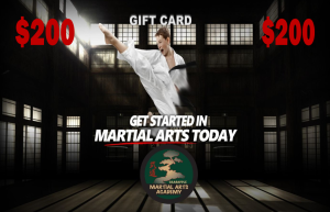 $200 gift card for crabapple martial arts academy