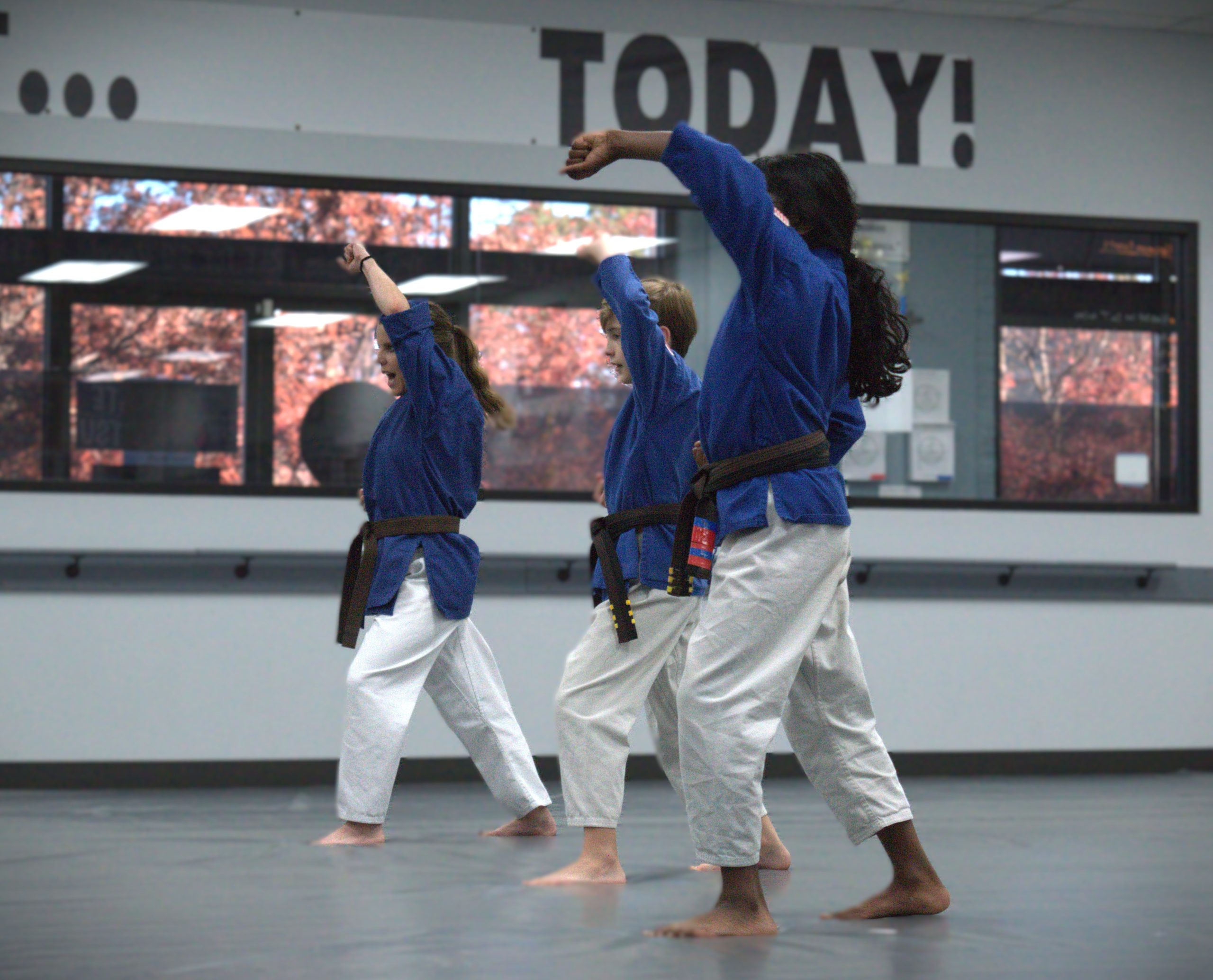 black belt testing blocks