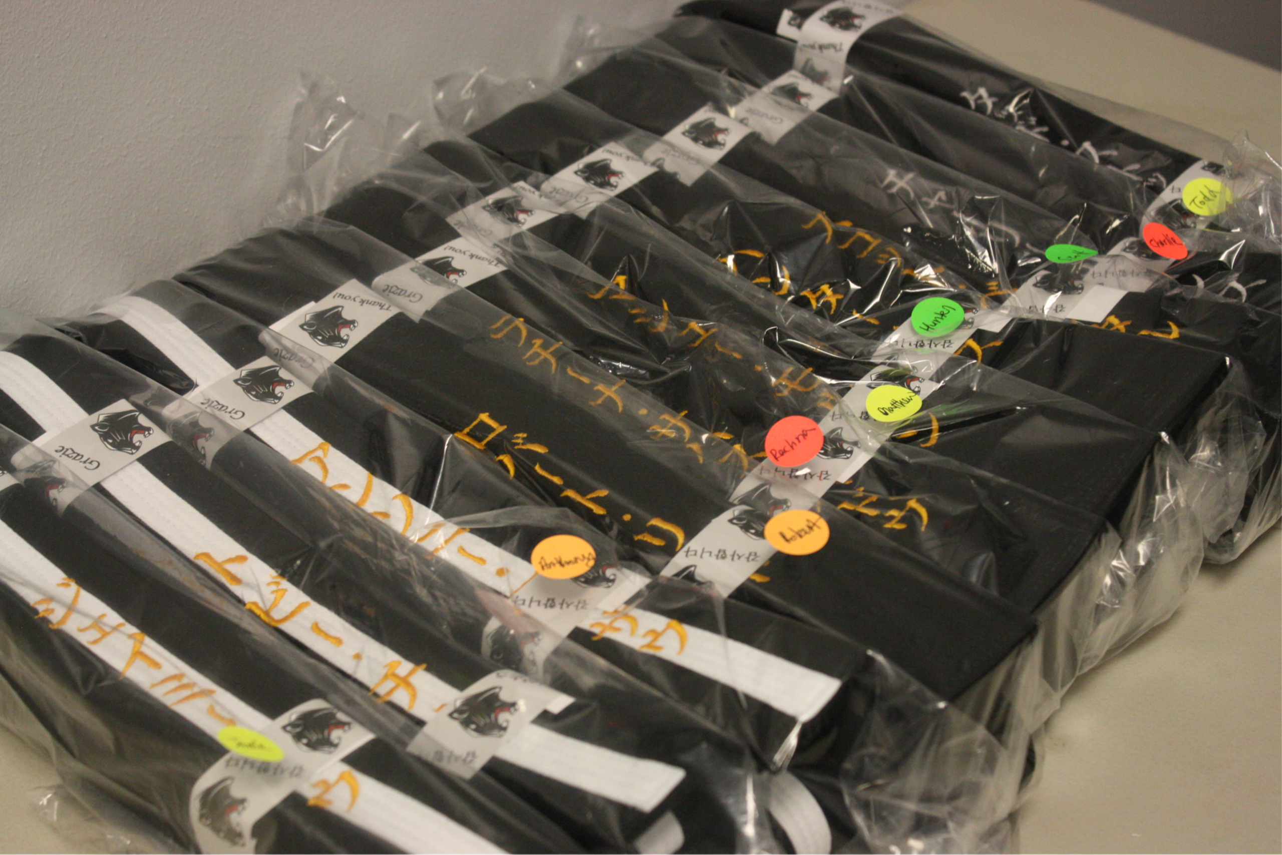 black belts lined up 